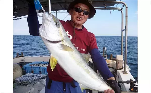 「【沖釣り釣果速報】玄界灘の落とし込み釣り好調！10kg級ヒラマサ＆ワラサ爆釣（福岡）」の画像