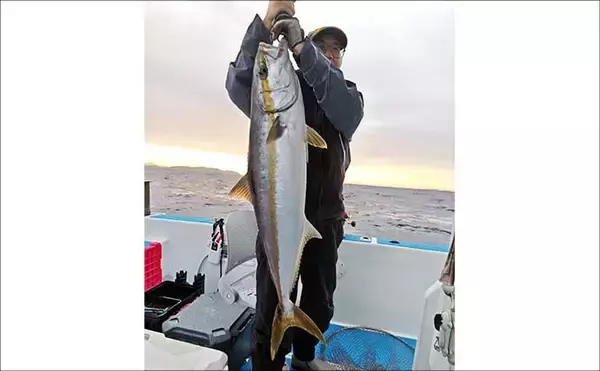 「【沖釣り釣果速報】玄界灘の落とし込み釣り好調！10kg級ヒラマサ＆ワラサ爆釣（福岡）」の画像