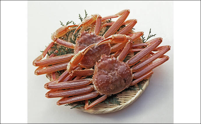 「美味しいカニは海にいる」は間違い？　川や田んぼにいるカニが実は美味だった