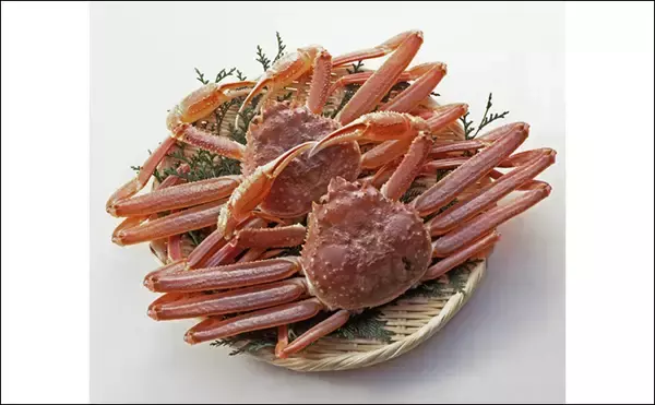 「「美味しいカニは海にいる」は間違い？　川や田んぼにいるカニが実は美味だった」の画像