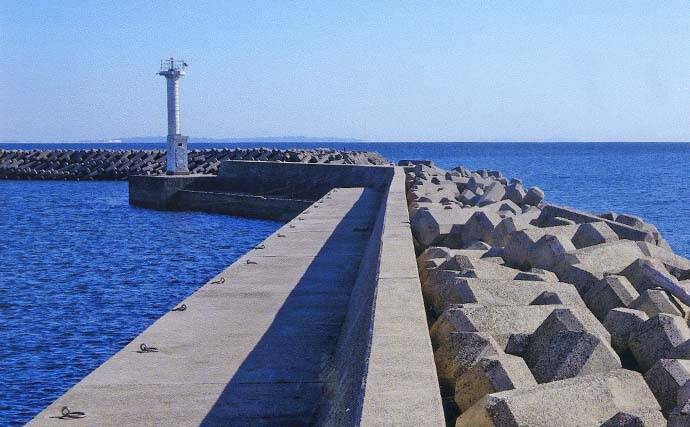 厳寒期の穴釣りでカサゴ2匹手中【三重・河芸漁港】貸し切り堤防をランガン攻略