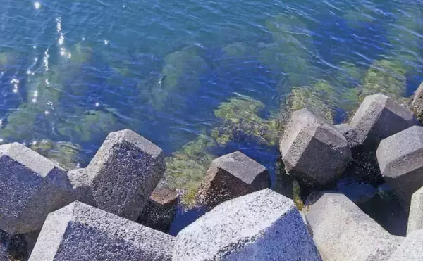 「厳寒期の穴釣りでカサゴ2匹手中【三重・河芸漁港】貸し切り堤防をランガン攻略」の画像