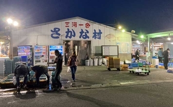リアルタイムで海の状況をチェックする方法　魚市場や鮮魚店の情報で釣果アップ！