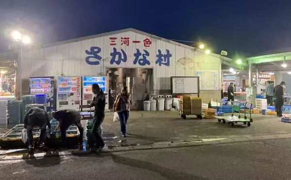 リアルタイムで海の状況をチェックする方法　魚市場や鮮魚店の情報で釣果アップ！