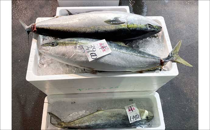 リアルタイムで海の状況をチェックする方法　魚市場や鮮魚店の情報で釣果アップ！