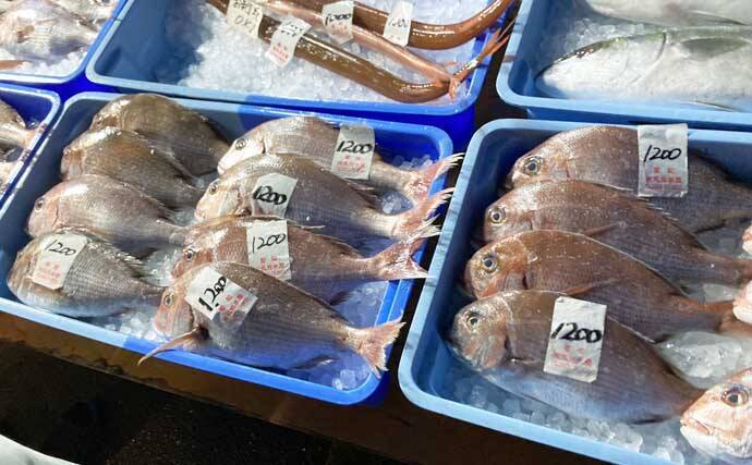 リアルタイムで海の状況をチェックする方法　魚市場や鮮魚店の情報で釣果アップ！
