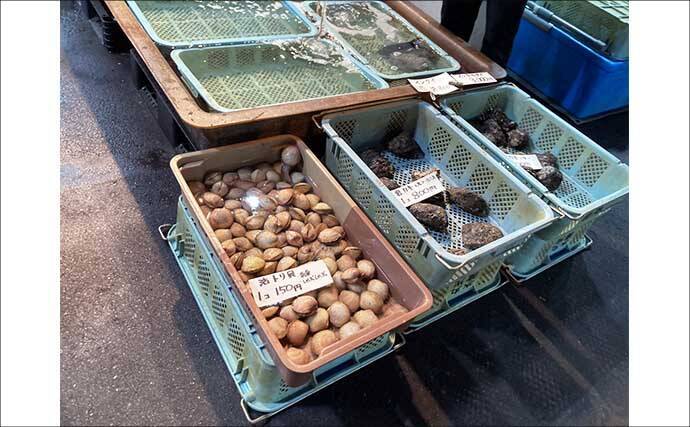 リアルタイムで海の状況をチェックする方法　魚市場や鮮魚店の情報で釣果アップ！