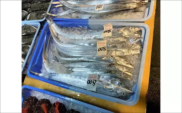「リアルタイムで海の状況をチェックする方法　魚市場や鮮魚店の情報で釣果アップ！」の画像