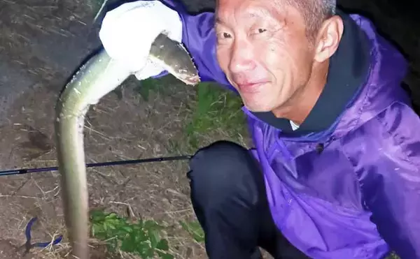 関東ウナギ釣り釣果レポート：本命ウナギ他5魚種登場の五目釣りを満喫【古利根川・埼玉】