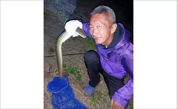 「関東ウナギ釣り釣果レポート：本命ウナギ他5魚種登場の五目釣りを満喫【古利根川・埼玉】」の画像