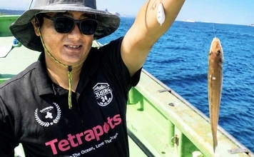 相模湾の船キス釣りでトップ45尾【ちがさき丸】振分け仕掛けに好反応！