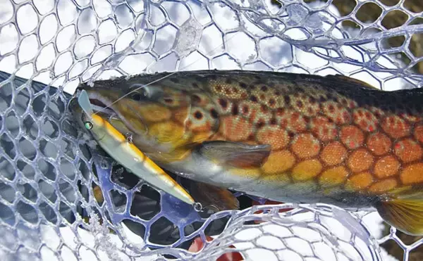 「エリアトラウトフィッシングの【おすすめミノー7選】 選び方と使い方も解説」の画像