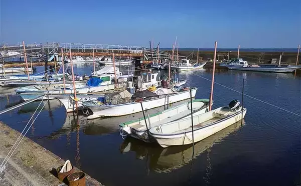 「境川と行徳港のランガン釣行でハゼ54尾をキャッチ【千葉】10cm級の良型も混じる」の画像