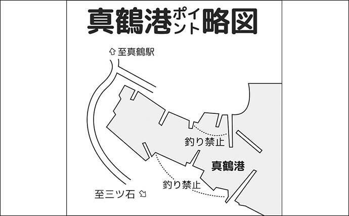 真鶴港のウキダンゴ釣りで35cm頭にクロダイ2尾【神奈川】ゲストにアイゴやコノシロも登場