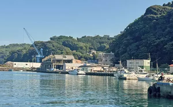 「真鶴港のウキダンゴ釣りで35cm頭にクロダイ2尾【神奈川】ゲストにアイゴやコノシロも登場」の画像