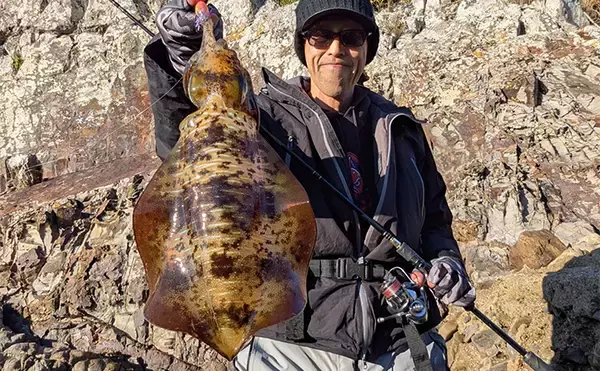 地磯のデイエギングで良型アオリイカをキャッチ【和歌山・南紀】深場狙いが奏功