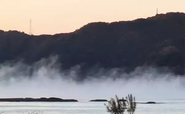 「地磯のデイエギングで良型アオリイカをキャッチ【和歌山・南紀】深場狙いが奏功」の画像