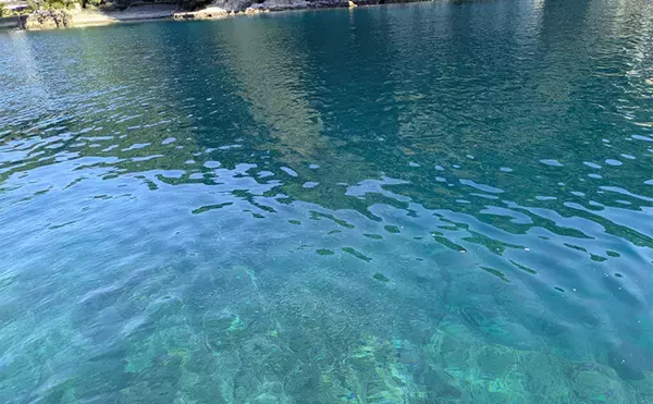 「地磯のデイエギングで良型アオリイカをキャッチ【和歌山・南紀】深場狙いが奏功」の画像