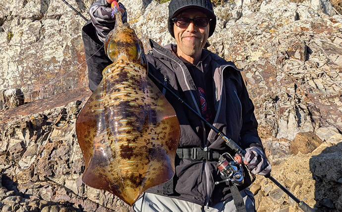 地磯のデイエギングで良型アオリイカをキャッチ【和歌山・南紀】深場狙いが奏功