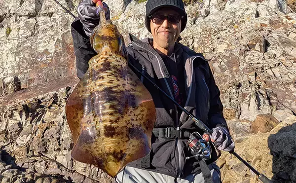 「地磯のデイエギングで良型アオリイカをキャッチ【和歌山・南紀】深場狙いが奏功」の画像