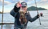 「真冬のボート釣りでアオリイカとアカハタを好捕【大分】 刺身＆唐揚げに舌鼓！」の画像10