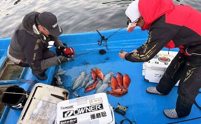 真冬のボート釣りでアオリイカとアカハタを好捕【大分】 刺身＆唐揚げに舌鼓！