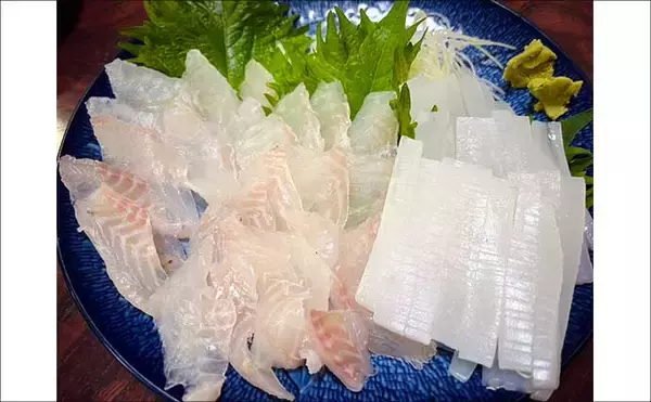 「真冬のボート釣りでアオリイカとアカハタを好捕【大分】 刺身＆唐揚げに舌鼓！」の画像