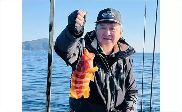 「真冬のボート釣りでアオリイカとアカハタを好捕【大分】 刺身＆唐揚げに舌鼓！」の画像