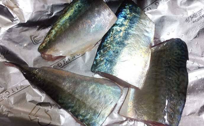 釣魚で作る「漁師飯」レシピ：首折れサバの若狭焼き　即〆で美味しさアップ