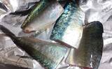 「釣魚で作る「漁師飯」レシピ：首折れサバの若狭焼き　即〆で美味しさアップ」の画像4