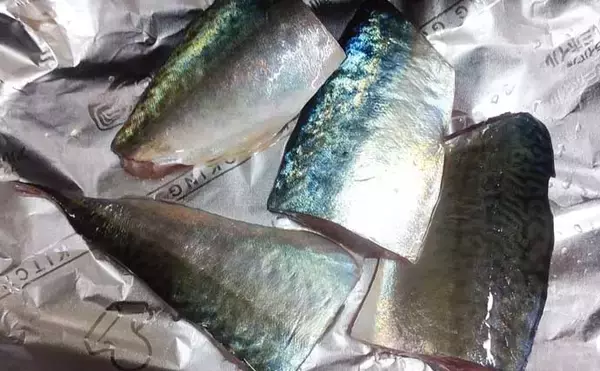 「釣魚で作る「漁師飯」レシピ：首折れサバの若狭焼き　即〆で美味しさアップ」の画像