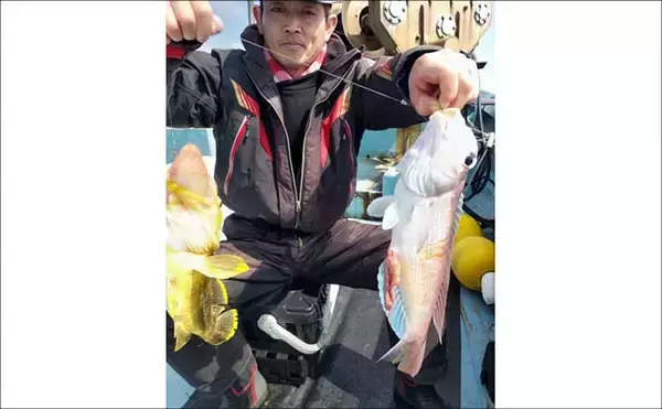 「沖五目釣りで美味魚続々！良型アマダイにレンコダイにタカバ【船釣り釣果速報・福岡】」の画像