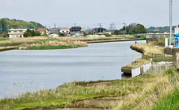 「今週のヘラブナ「ピックアップ」釣り場2026【茨城・巴川】」の画像