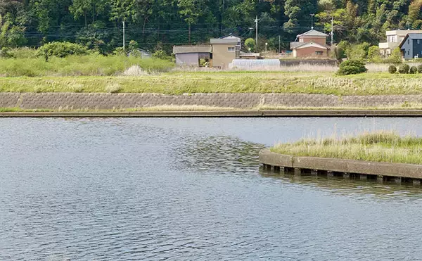 「今週のヘラブナ「ピックアップ」釣り場2026【茨城・巴川】」の画像