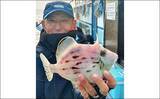 「愛知でカワハギ＆フグ釣りを満喫　刺身＆唐揚げで贅沢食卓に」の画像3