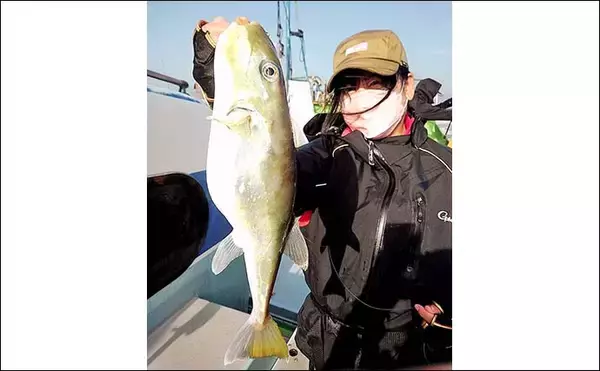 「愛知でカワハギ＆フグ釣りを満喫　刺身＆唐揚げで贅沢食卓に」の画像
