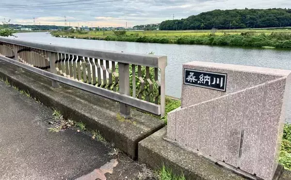 「吉田康雄のザ・チャレンジへらぶな【川ベラでも狙ってみますか！#1】」の画像