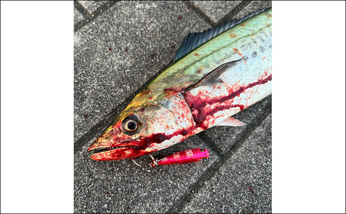 意外と知らないルアー釣りの基本：シングルフックとトレブルフックって何が違うの？