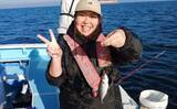 「関東エリアの【船釣り特選釣果】東京湾のLTアジ釣りで船中トップ123匹！」の画像3
