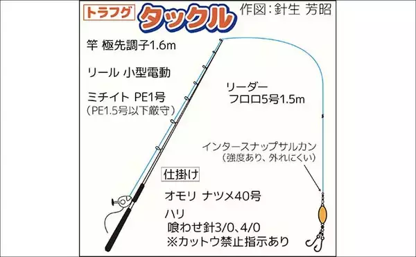 「東京湾で大人気のトラフグを狙う【一之瀬丸】船中3.7kgの良型顔出しもヒットは単発」の画像