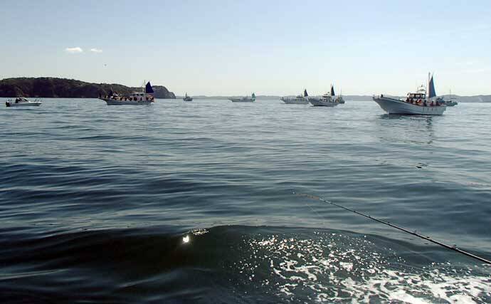 東京湾で大人気のトラフグを狙う【一之瀬丸】船中3.7kgの良型顔出しもヒットは単発