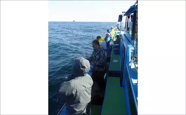 「東京湾で大人気のトラフグを狙う【一之瀬丸】船中3.7kgの良型顔出しもヒットは単発」の画像