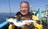 「東京湾で大人気のトラフグを狙う【一之瀬丸】船中3.7kgの良型顔出しもヒットは単発」の画像6