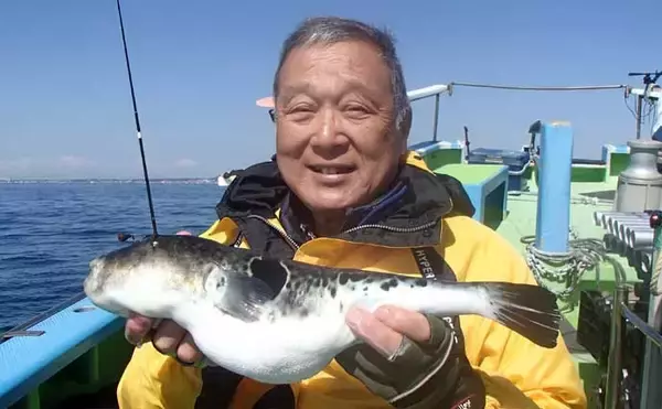 「東京湾で大人気のトラフグを狙う【一之瀬丸】船中3.7kgの良型顔出しもヒットは単発」の画像