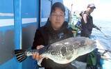 「東京湾で大人気のトラフグを狙う【一之瀬丸】船中3.7kgの良型顔出しもヒットは単発」の画像7
