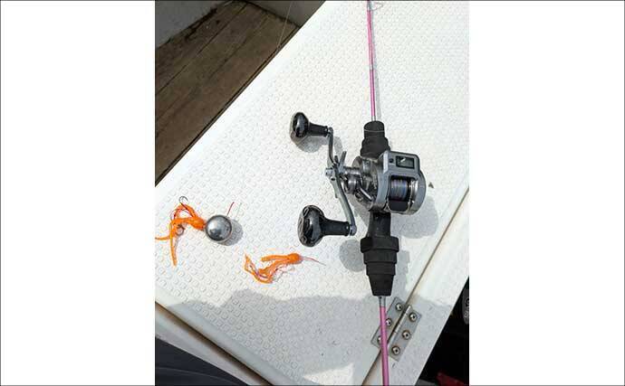 「高価なTGシンカーが餌食に」敦賀沖タイラバ釣行で本命手中もマフグの猛攻に大苦戦【福井】