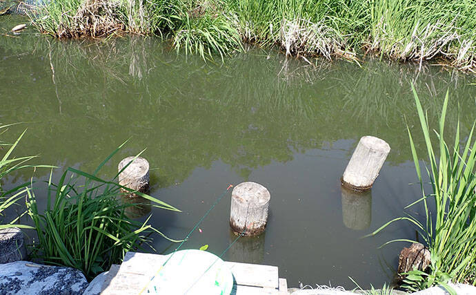 『WakuWakuField野田幸手園』でタナゴ釣りの奥深さに触れる【千葉】