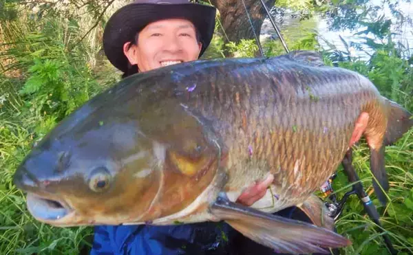 荒川で22kg超ソウギョをキャッチ　釣り開始15分で本命ヒットの出来過ぎ釣行