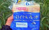 「荒川で22kg超ソウギョをキャッチ　釣り開始15分で本命ヒットの出来過ぎ釣行」の画像3