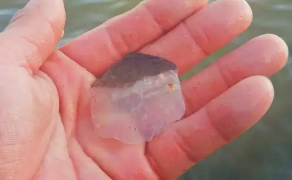 「荒川で22kg超ソウギョをキャッチ　釣り開始15分で本命ヒットの出来過ぎ釣行」の画像